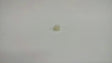 62731FA000 Subaru White Screw Grommet for Weather Strip